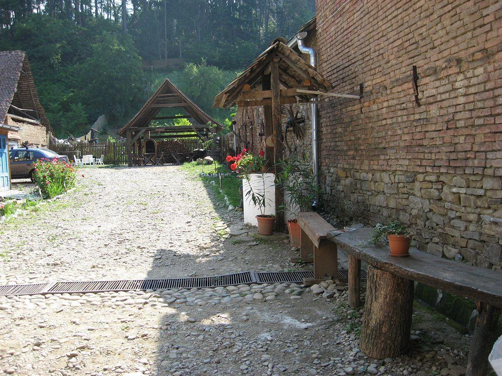 Pension Cartref Saschiz Exterior photo
