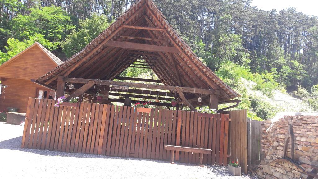 Pension Cartref Saschiz Exterior photo