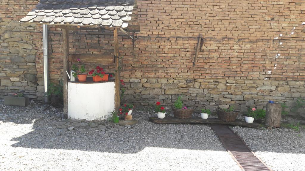 Pension Cartref Saschiz Exterior photo