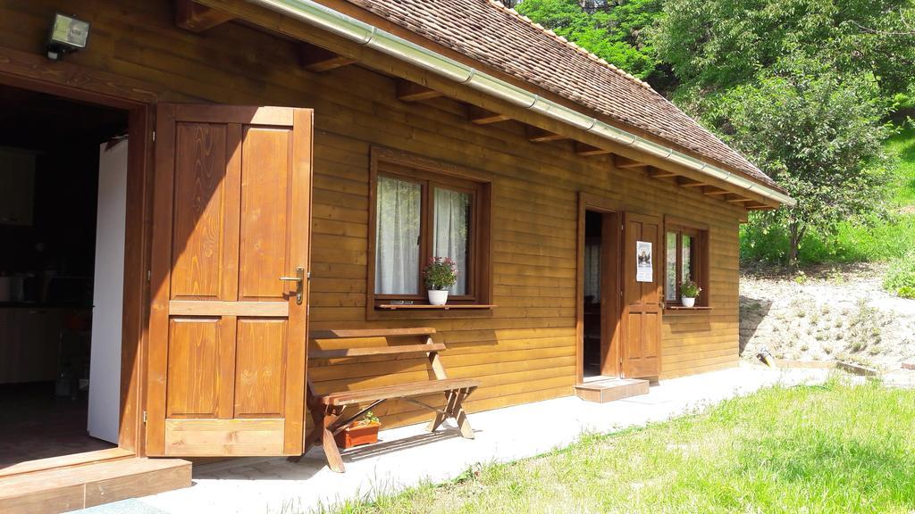 Pension Cartref Saschiz Exterior photo