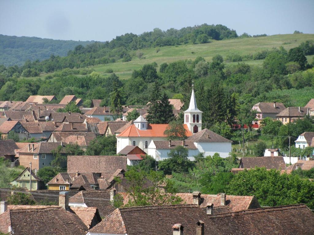 Pension Cartref Saschiz Exterior photo